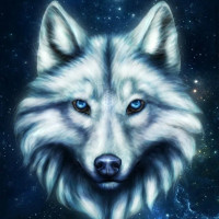 Светлана  Алафинова