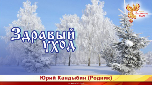 Здравый уход 