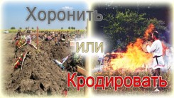 Хоронить или кродировать?