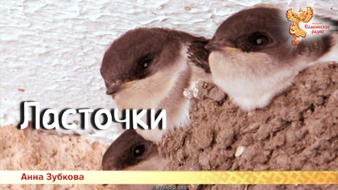 Песни для детей: Ласточки