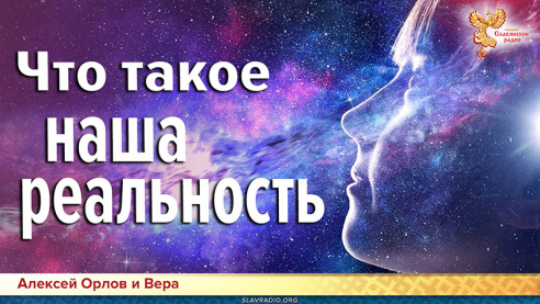 Что такое наша реальность