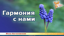 Гармония с нами