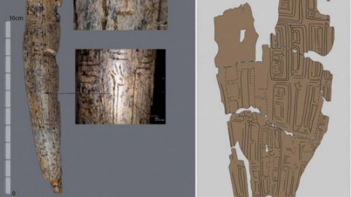 На Буковине археологи нашли бивень мамонта