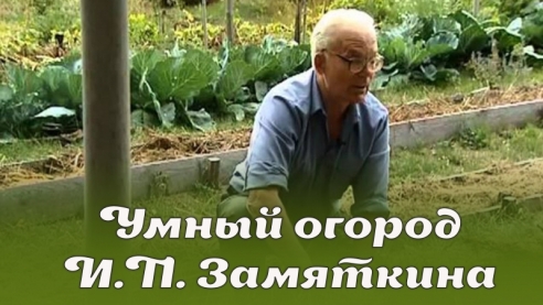 Умный огород И.П. Замяткина: участок не знает лопаты уже 20 лет