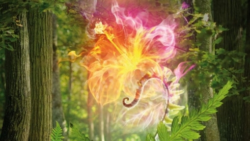 Этно-Фестиваль КУПАЛЬСКАЯ СКАЗКА