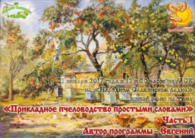 Прикладное пчеловодство простыми словами. Часть&nbsp;1