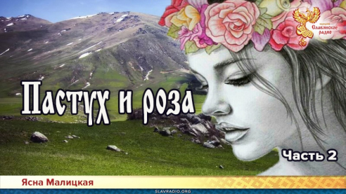 Пастух и роза. Часть 2