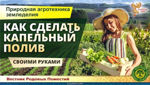 Капельный полив своими руками