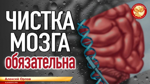 Чистка мозга обязательна