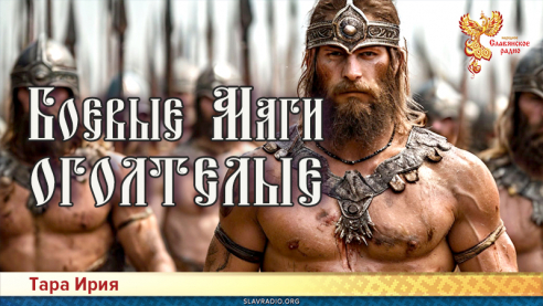 Боевые Маги оголтелые