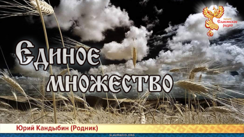 Единое множество 