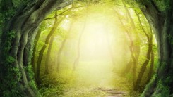 Мыслящий тростник. Разумные растения. Взгляд науки