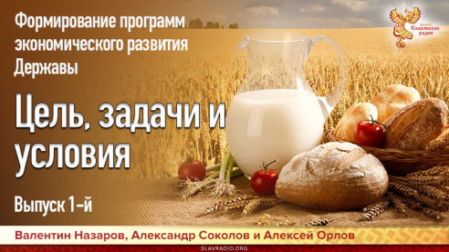 Формирование программ экономического развития Державы.  Выпуск 1. Цель, задачи и условия