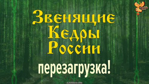 Звенящие Кедры России &mdash; перезагрузка!