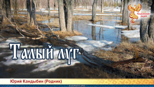 Талый луг 