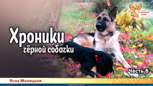 Хроники чёрной собачки. Часть 6