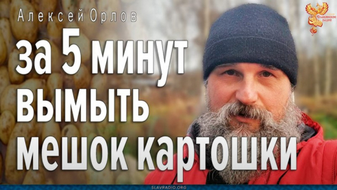 Как за 5 минут вымыть мешок картошки