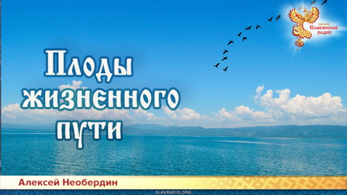 Плоды жизненного пути
