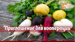 Приглашение для кооперации