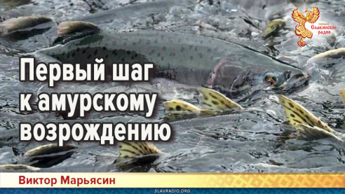 Первый шаг к амурскому возрождению