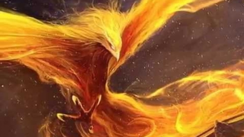 7 птиц, которых знают только Русские