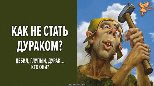 Полная версия вебинара &laquo;Как не стать дураком? Дебил, глупый, дурак &mdash; кто они?&raquo;