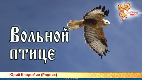 Вольной птице 