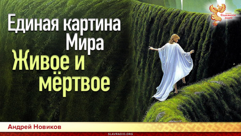 Единая картина Мира. Живое и мертвое