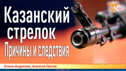 Казанский стрелок. Причины и следствия