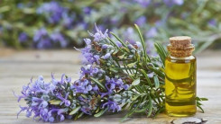 Влияние эфирных масел на тонкие тела человека