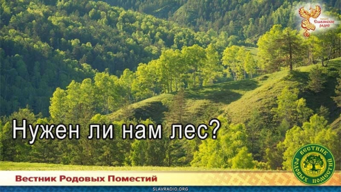 Нужен ли нам лес?