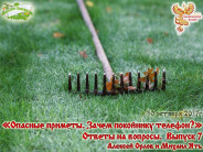 Опасные приметы. Зачем покойнику телефон?" Ответы на вопросы. Выпуск №7