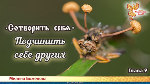 Сотворить себя. Глава девятая
