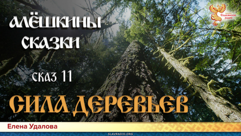 Алёшкины сказки. Сказ 11. Сила деревьев