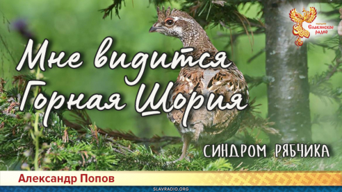 Мне видится Горная Шория. Синдром рябчика
