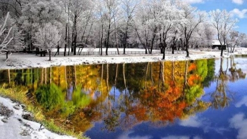 Как Цветёнка зимой лето повстречала