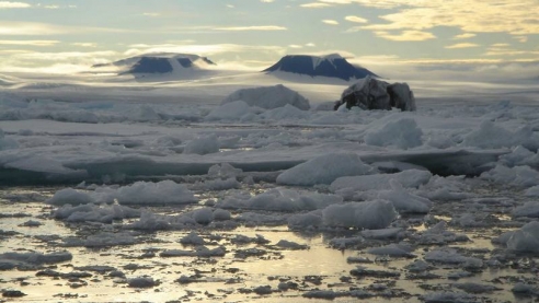 Россия прирастает Арктикой