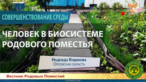 Человек в биосистеме Родового поместья