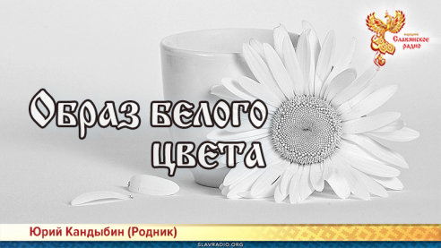 Образ белого цвета 