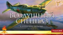 Воздушный спецназ. Сильные духом. Выпуск 3