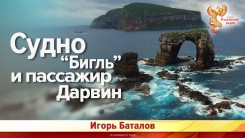 Судно «Бигль» и пассажир Дарвин
