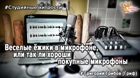 Веселые ёжики в микрофоне, или так ли хороши покупные микрофоны