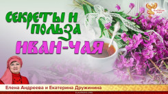 Секреты и польза Иван-чая