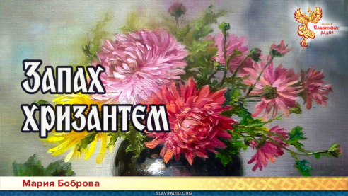 Запах хризантем 