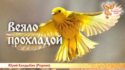 Веяло прохладой