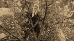 Она сажала деревья. Она была мудрой и доброй...