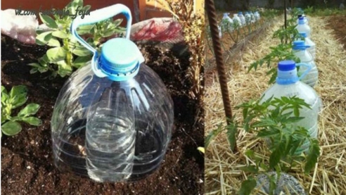 Техника солнечного капельного орошения