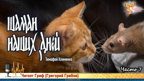 Шаман наших дней. Часть 7 
