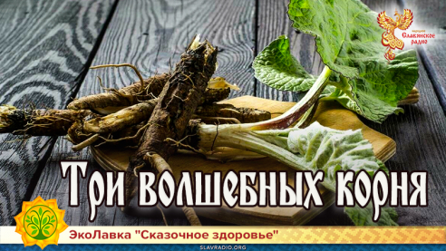 Три волшебных корня 