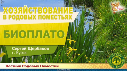 Очистка сточных вод при помощи биоплато лабиринтного типа